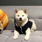 대표 사진