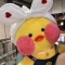 대표 사진