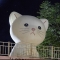대표 사진