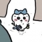 대표 사진