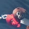 대표 사진