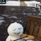 대표 사진