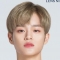 대표 사진