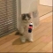 대표 사진