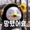 대표 사진