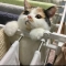 대표 사진