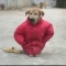 대표 사진