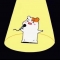 대표 사진