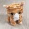 대표 사진
