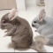 대표 사진