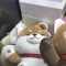 대표 사진