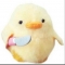 대표 사진