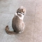 대표 사진