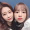 대표 사진