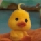 대표 사진