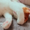 대표 사진