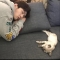 대표 사진