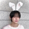 대표 사진