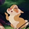 대표 사진