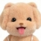 대표 사진