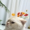 대표 사진