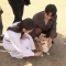 대표 사진