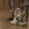대표 사진