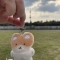 대표 사진