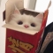 대표 사진