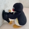 대표 사진