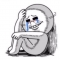 대표 사진