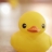 대표 사진