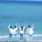 대표 사진