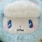 대표 사진