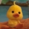 대표 사진