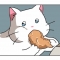 대표 사진