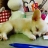 대표 사진