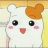 대표 사진