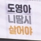 대표 사진