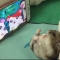 대표 사진