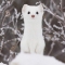 대표 사진
