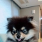 대표 사진