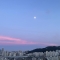 대표 사진