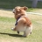 대표 사진