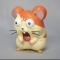 대표 사진