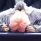대표 사진
