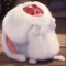 대표 사진