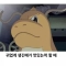 대표 사진