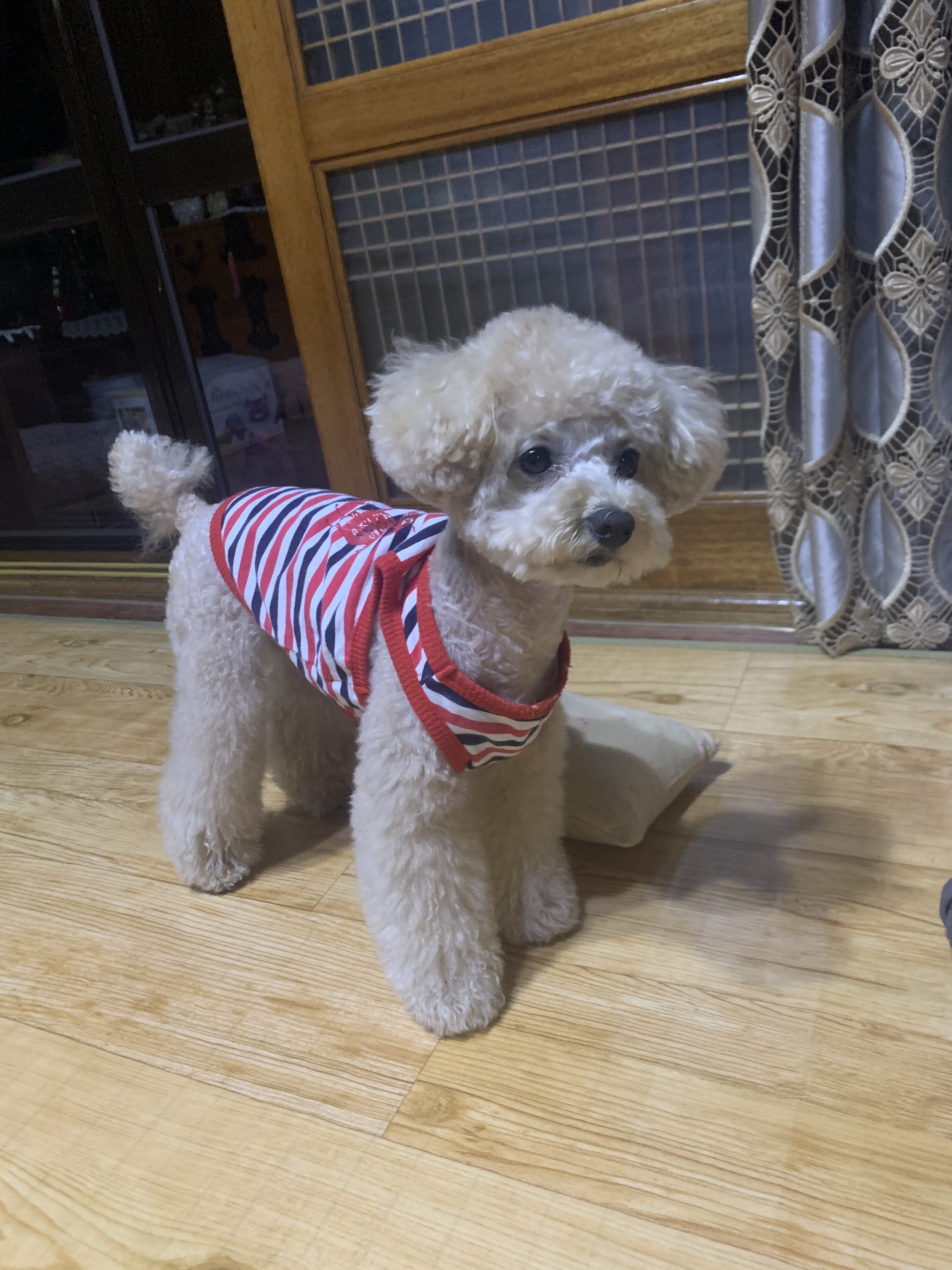대표 사진
