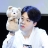 대표 사진